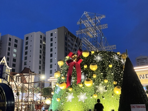 cây thông noel