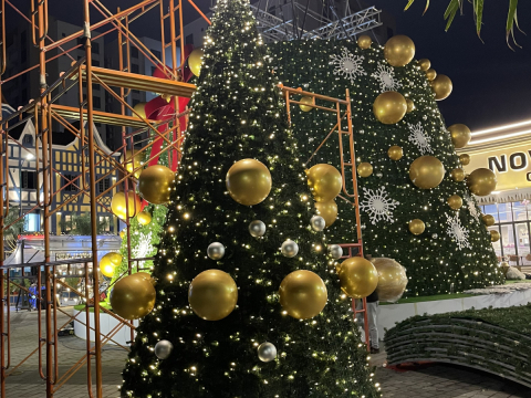 cây thông noel