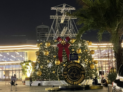cây thông noel