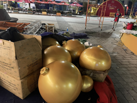 cây thông noel