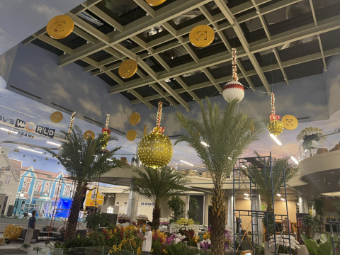 cây thông noel