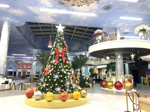 cây thông noel