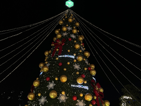 cây thông noel