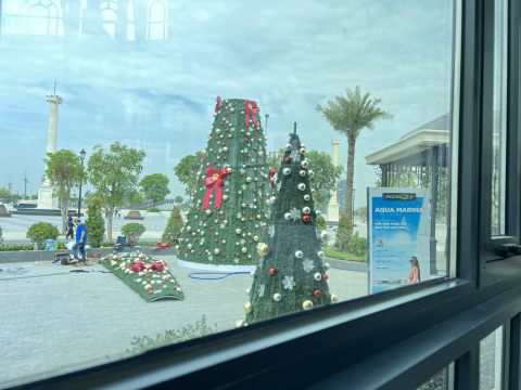 cây thông noel