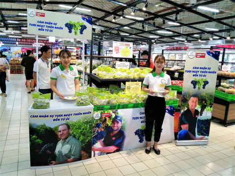ACTIVATION DO DIAMOND THỰC HIỆN