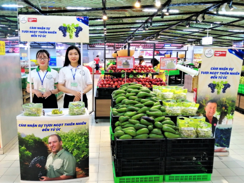 ACTIVATION DO DIAMOND THỰC HIỆN