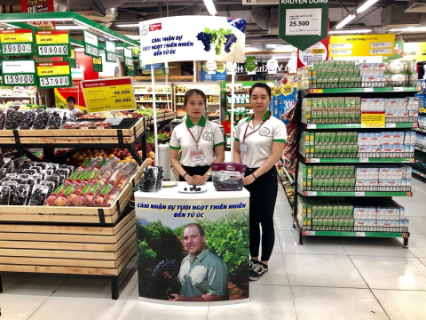 ACTIVATION DO DIAMOND THỰC HIỆN