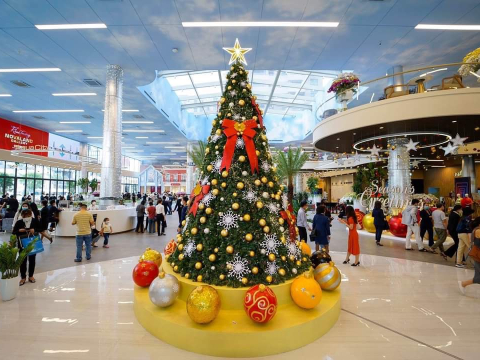 cây thông noel