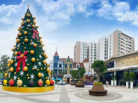 cây thông noel