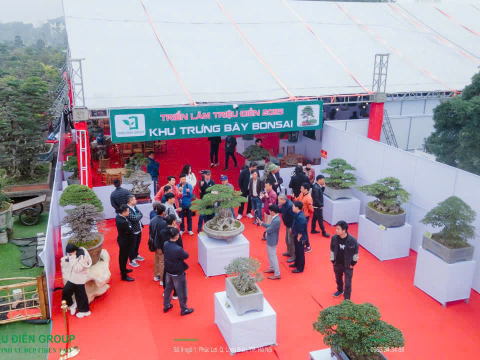 Khai mạc Triển Lãm Mùa Xuân - Nghệ Thuật Bonsai